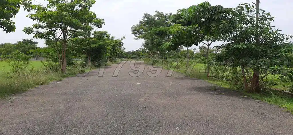 nerellavalasa-residential-commercial-plots